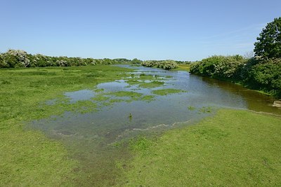 BUITEN BEELD Foto: 204085