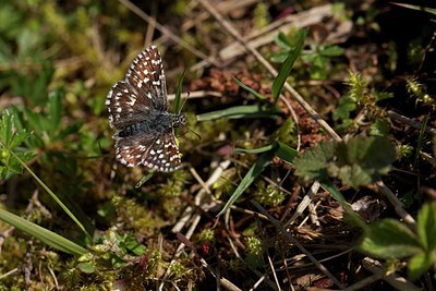 BUITEN BEELD Foto: 204155