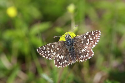 BUITEN BEELD Foto: 204159