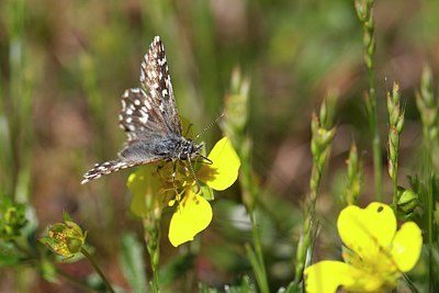 BUITEN BEELD Foto: 204162