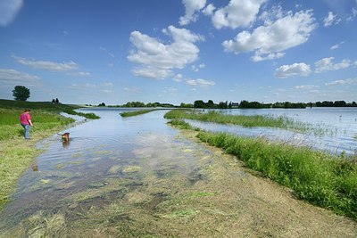 BUITEN BEELD Foto: 204165