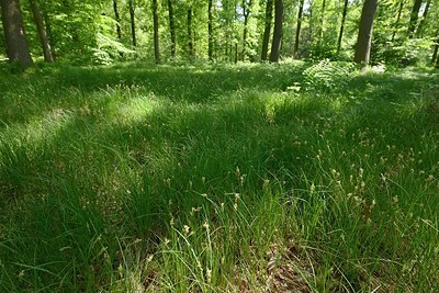 BUITEN BEELD Foto: 204180