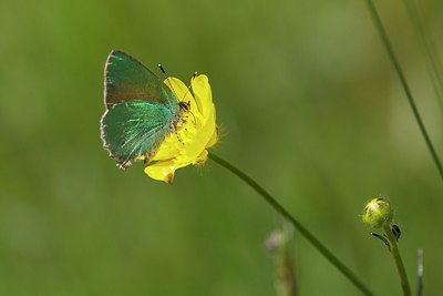 BUITEN BEELD Foto: 204181