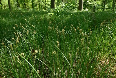BUITEN BEELD Foto: 204182