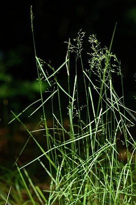 BUITEN BEELD Foto: 204187