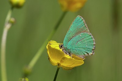 BUITEN BEELD Foto: 204190