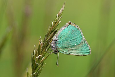 BUITEN BEELD Foto: 204195