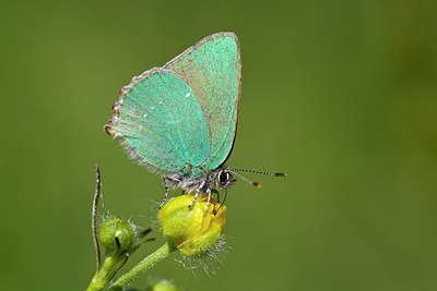 BUITEN BEELD Foto: 204199