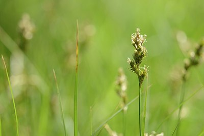 BUITEN BEELD Foto: 204203