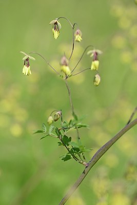 BUITEN BEELD Foto: 204209