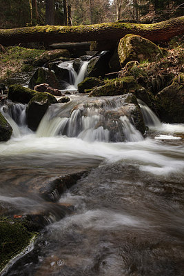 BUITEN BEELD Foto: 204234