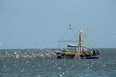 BUITEN BEELD Foto: 204356