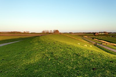 BUITEN BEELD Foto: 204402