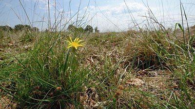 BUITEN BEELD Foto: 204428