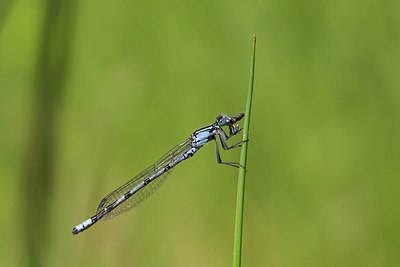 BUITEN BEELD Foto: 204431