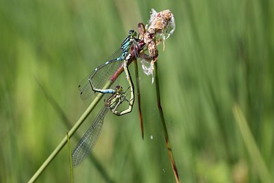 BUITEN BEELD Foto: 204459