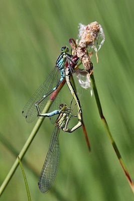 BUITEN BEELD Foto: 204461