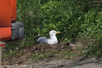 BUITEN BEELD Foto: 204499