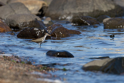 BUITEN BEELD Foto: 204517