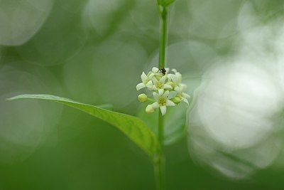 BUITEN BEELD Foto: 204551