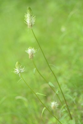 BUITEN BEELD Foto: 204558