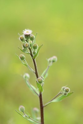 BUITEN BEELD Foto: 204568