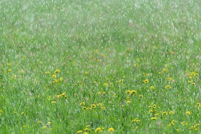 BUITEN BEELD Foto: 204657