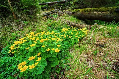 BUITEN BEELD Foto: 204709