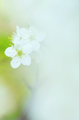 BUITEN BEELD Foto: 204728