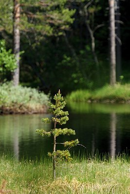 BUITEN BEELD Foto: 204761