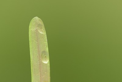 BUITEN BEELD Foto: 204839