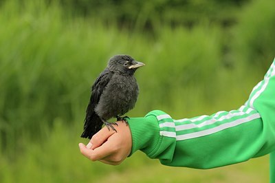 BUITEN BEELD Foto: 204848