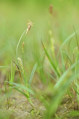 BUITEN BEELD Foto: 204863