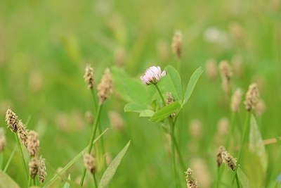 BUITEN BEELD Foto: 204874