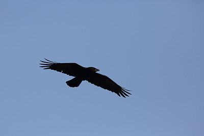 BUITEN BEELD Foto: 204906