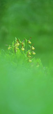 BUITEN BEELD Foto: 204940