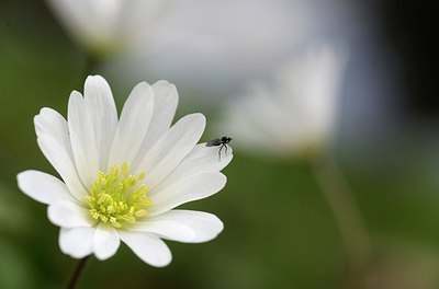 BUITEN BEELD Foto: 205005