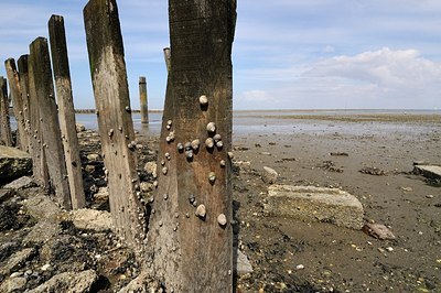 BUITEN BEELD Foto: 205046