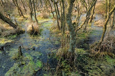 BUITEN BEELD Foto: 205047