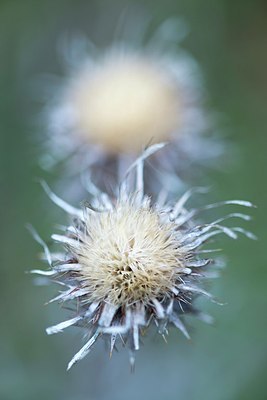 BUITEN BEELD Foto: 205075