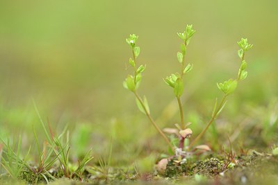 BUITEN BEELD Foto: 205114