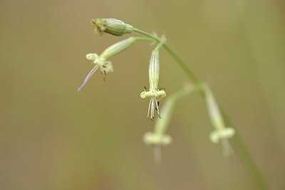 BUITEN BEELD Foto: 205132