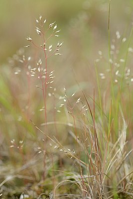 BUITEN BEELD Foto: 205134