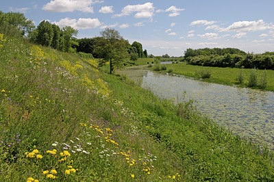 BUITEN BEELD Foto: 205213