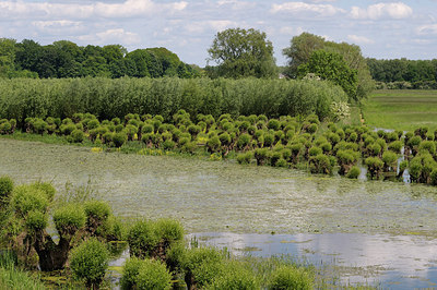 BUITEN BEELD Foto: 205217