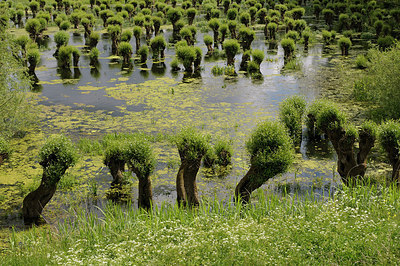 BUITEN BEELD Foto: 205218