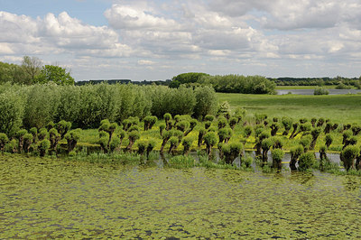 BUITEN BEELD Foto: 205219