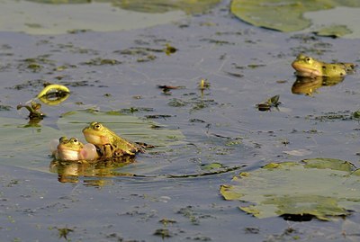 BUITEN BEELD Foto: 205237