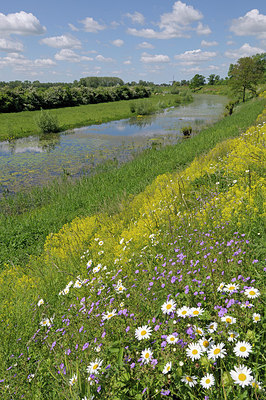 BUITEN BEELD Foto: 205240