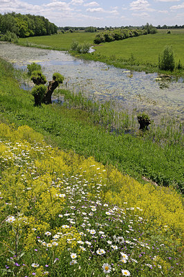 BUITEN BEELD Foto: 205241